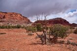 XT5_SW24_01602-c1
