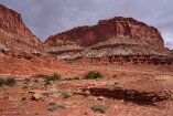 XT5_SW24_01618-c1