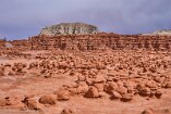 XT5_SW24_01634-c1
