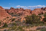 XT5_SW24_01672-c1