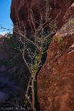 XT5_SW24_01677-c1