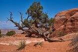 XT5_SW24_01680-c1