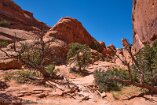 XT5_SW24_01714-c1