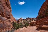 XT5_SW24_01722-c1