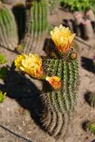 XT5_SW24_01015-c1