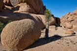 XT5_SW24_01030-c1