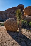 XT5_SW24_01035-c1