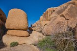 XT5_SW24_01040-c1