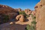 XT5_SW24_01042-c1