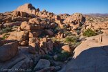 XT5_SW24_01048-c1