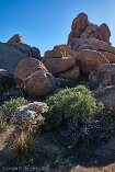 XT5_SW24_01059-c1