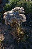 XT5_SW24_01061-c1
