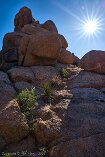 XT5_SW24_01064-c1