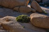 XT5_SW24_01067-c1