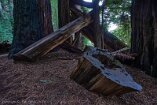XT5_SW24_00045-c1