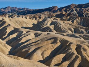 2024 Southwest - Days 5 and 6 - Death Valley The first photos (1-7) were taken in the Panamint Valley where there was a wonderful wildflower bloom with massive...