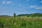 1/750 sec at f / 8.0