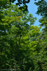 1/450 sec at f / 5.6