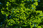 1/3800 sec at f / 2.2