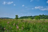 XE5_ON26_01932-c1