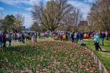 XE5_ON26_01657-c1