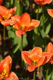 XE5_ON26_01674-c1