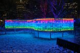 XE5_ON26_01286-c1