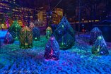XE5_ON26_01303-c1