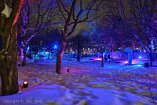 XE5_ON26_01374-c1